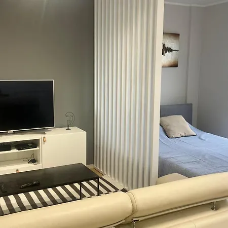 Centrally Located In Apartment Novi Sad